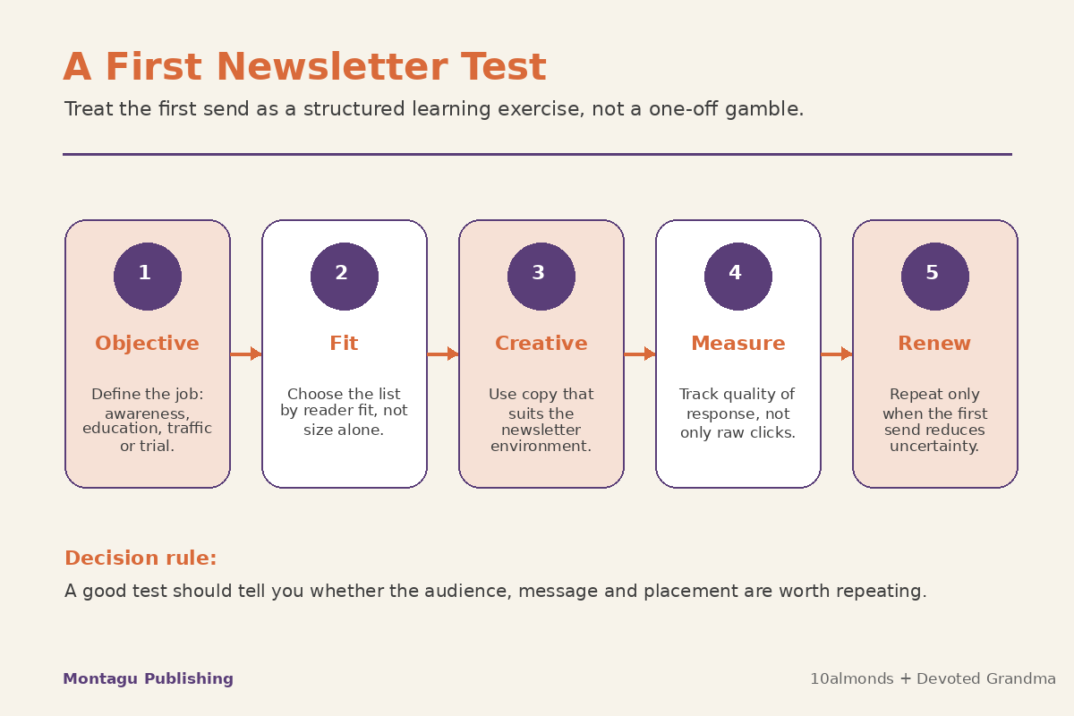 Newsletter sponsorship test plan showing objective, audience fit, creative, measurement and renewal steps